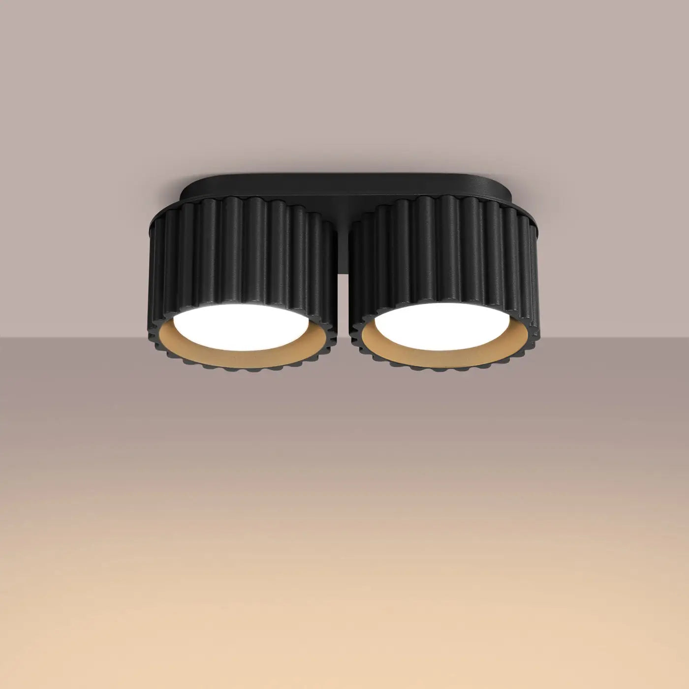 Plafonnier Double Spot Noir Rainuré - Dalumea - vue 1