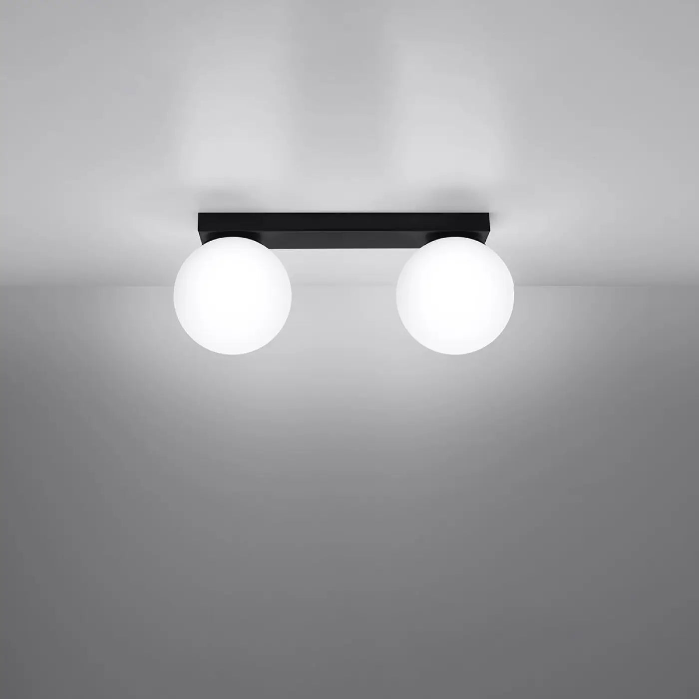 Plafonnier 2 Globes Noir LED - Dalumea - vue 1