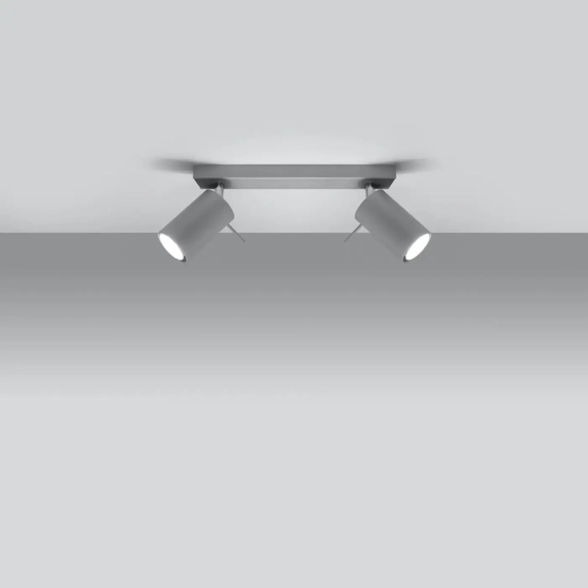 Plafonnier 2 Spots Orientables Gris - Dalumea - vue 1