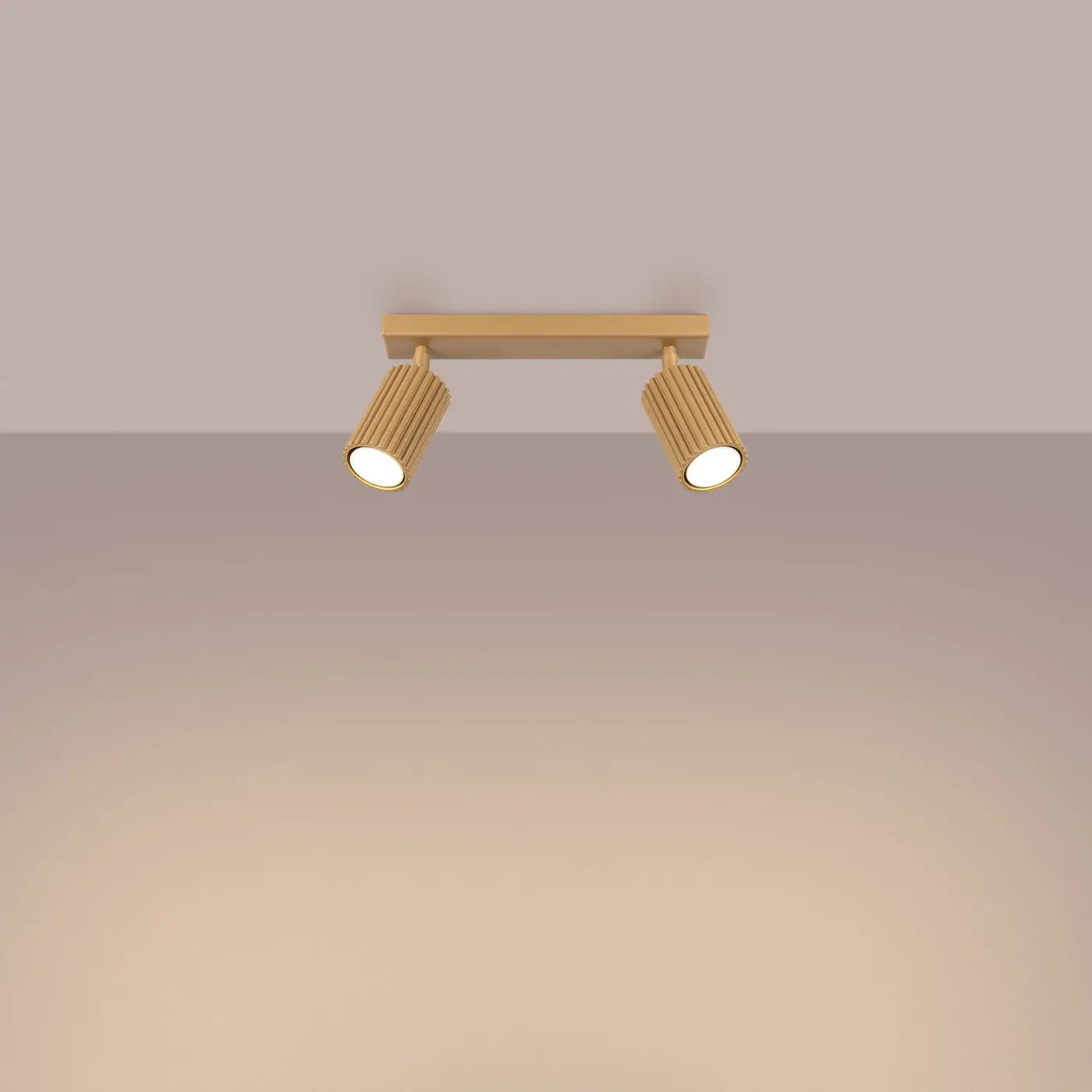 Plafonnier 2 Spots Orientables Doré - Dalumea - vue 1
