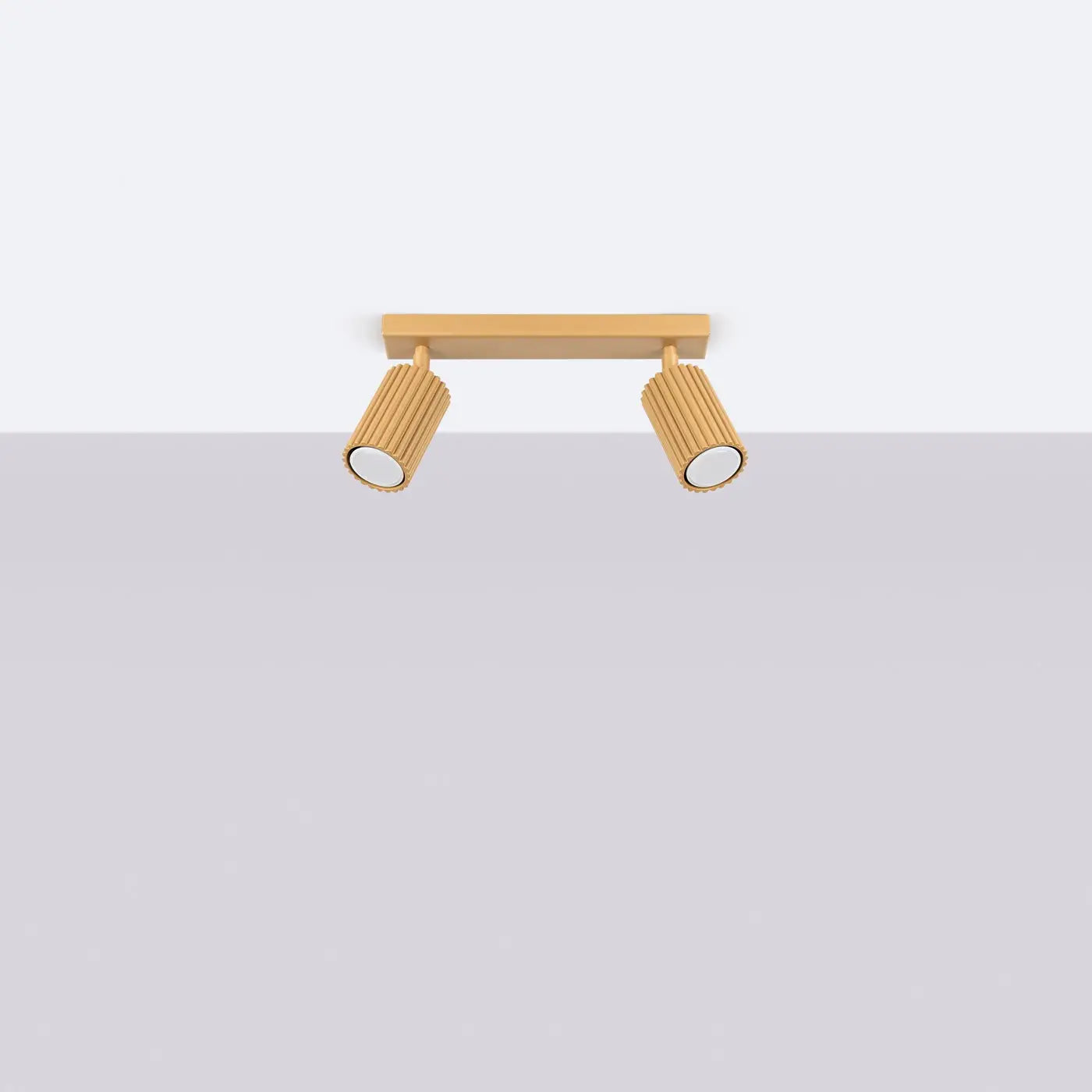 Plafonnier 2 Spots Orientables Doré - Dalumea - vue 2