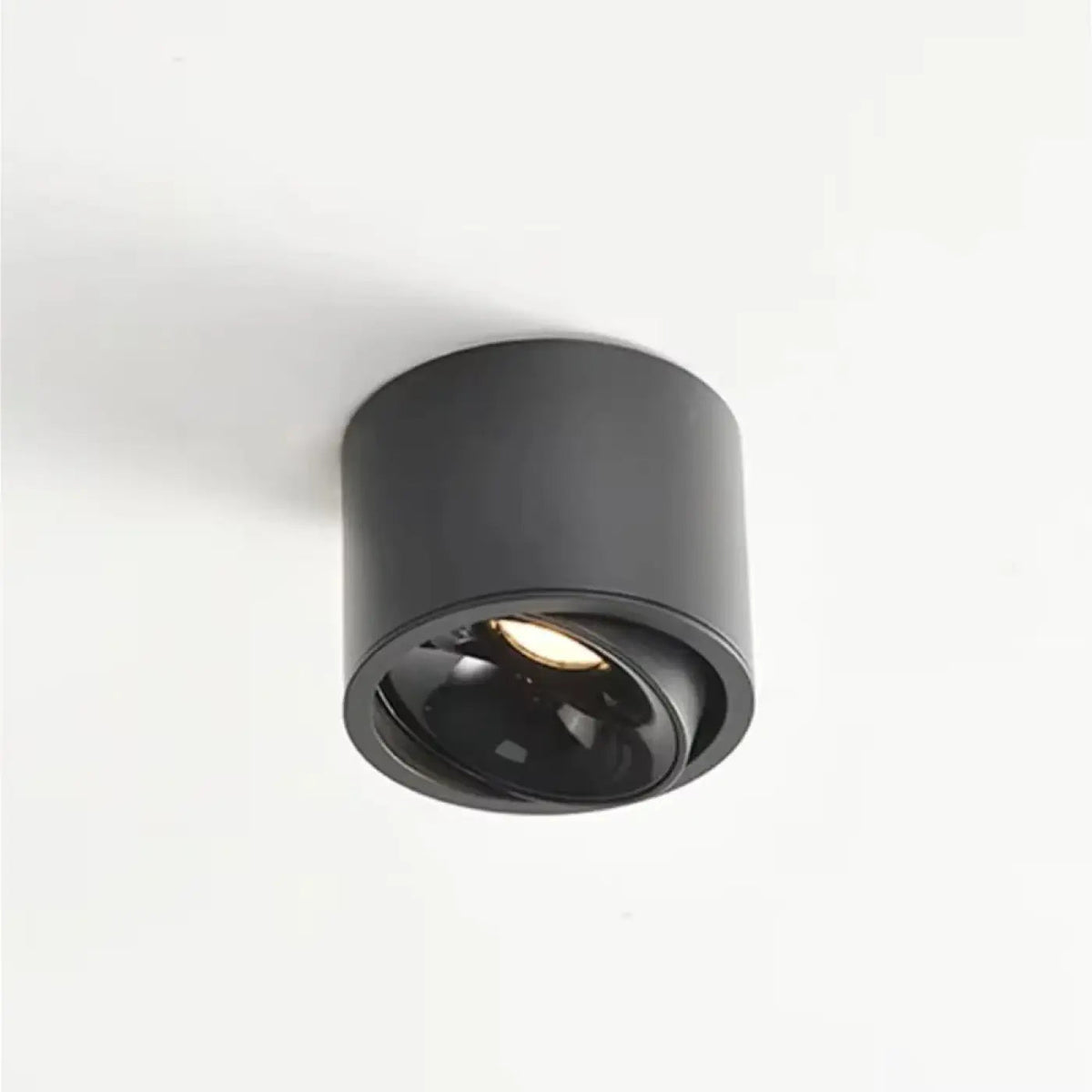 Plafonnier Spot Orientable Cylindrique - Dalumea - vue 9