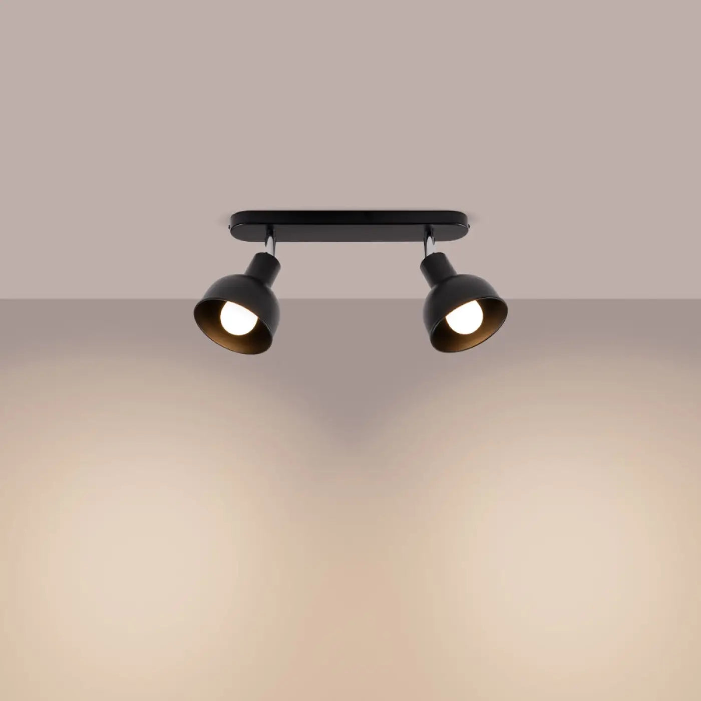 Plafonnier Double Spot Orientable Noir - Dalumea - vue 1
