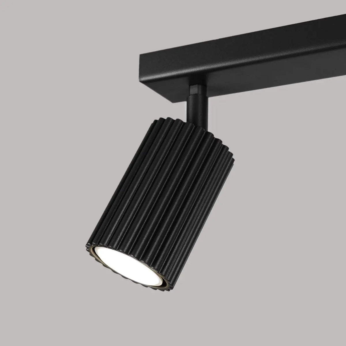 Plafonnier Double Spot Noir Orientable - Dalumea - vue 3