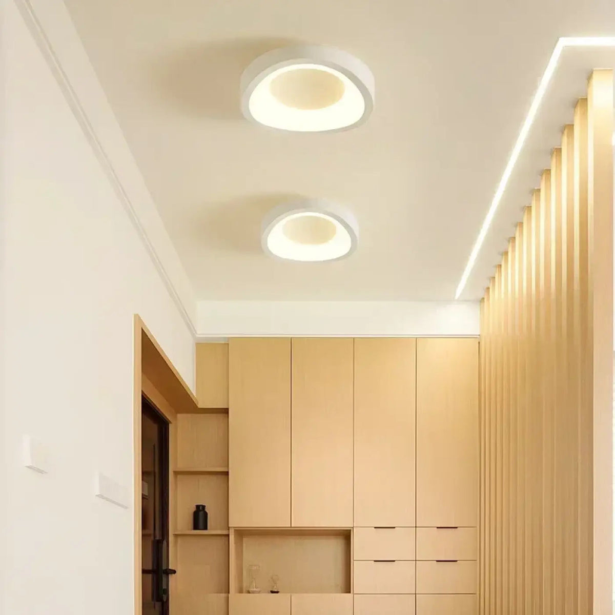 Plafonnier LED Minimaliste Entrée Couloir - Dalumea - vue 2