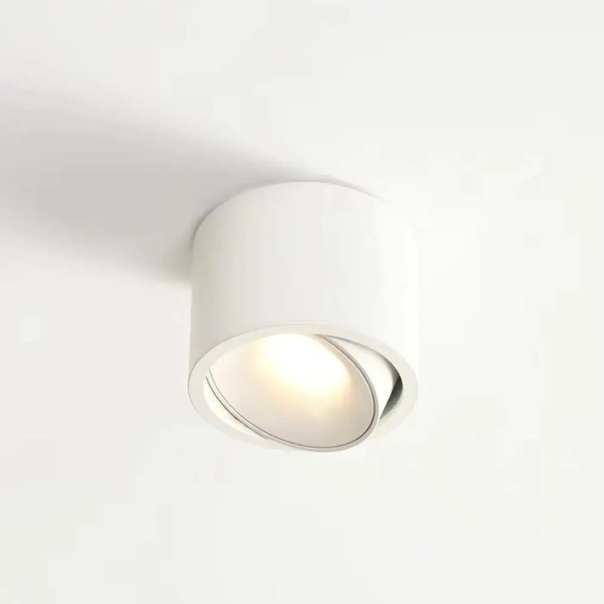 Plafonnier Spot Orientable Cylindrique - Dalumea - vue 5