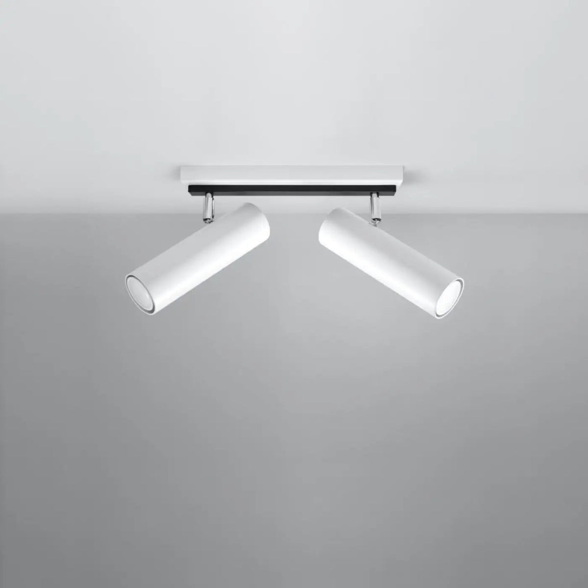 Plafonnier 2 Spots Orientables Blanc - Dalumea - vue 2
