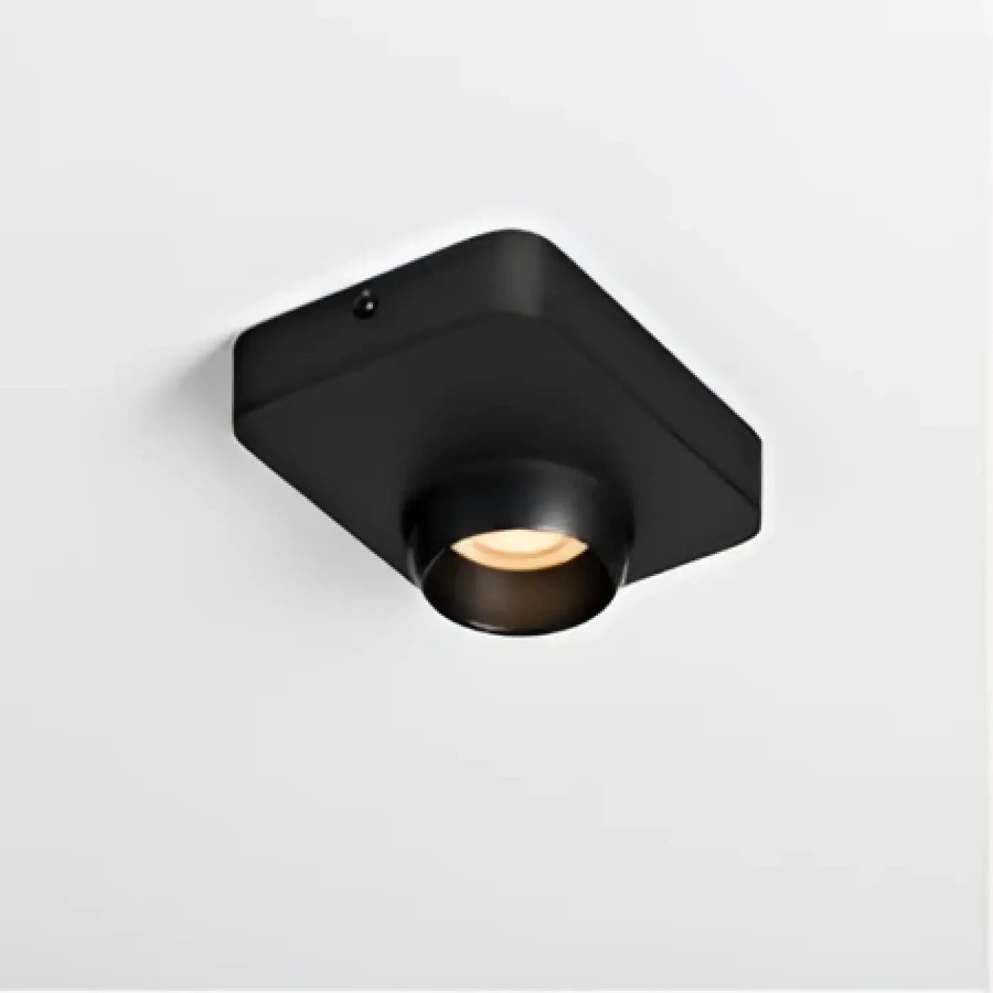 Plafonnier Design Orientable Contemporain - Dalumea - vue 2