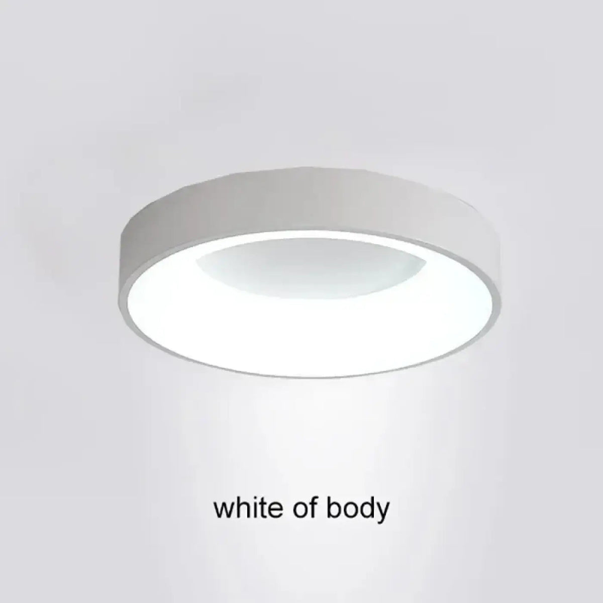 Plafonnier LED Rond Ultra Fin - Dalumea - vue 7