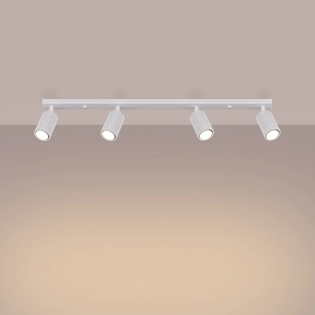 Plafonnier 4 Spots Orientables Rail Blanc - Dalumea - vue 1