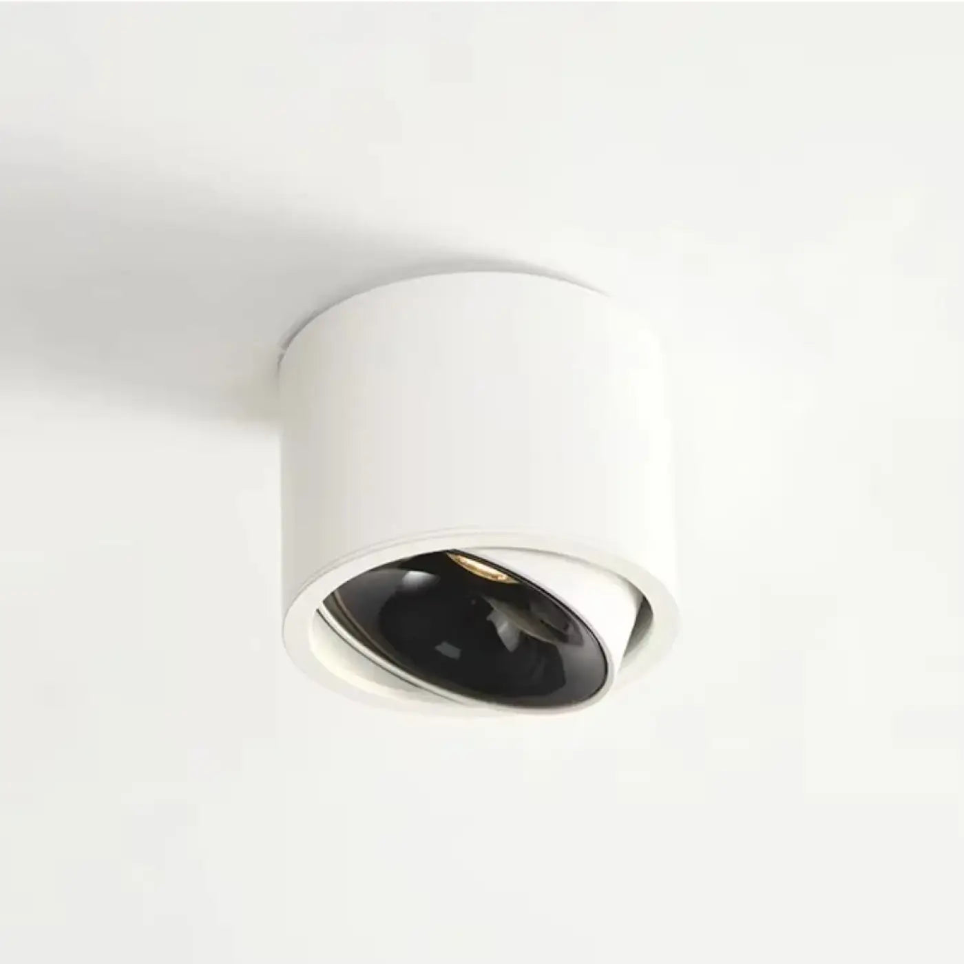 Plafonnier Spot Orientable Cylindrique - Dalumea - vue 6