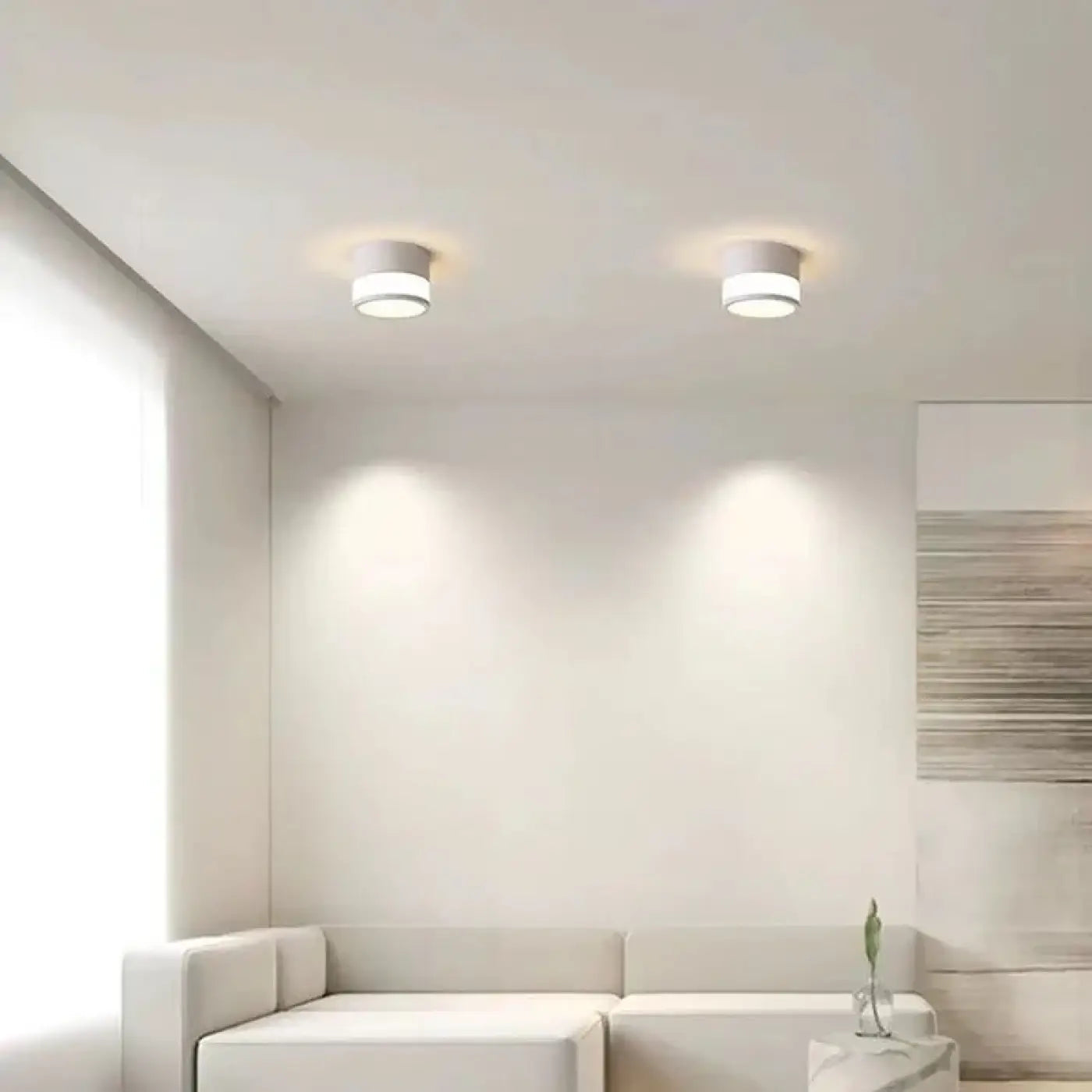 Plafonnier LED Cylindrique Noir Blanc - Dalumea - vue 2