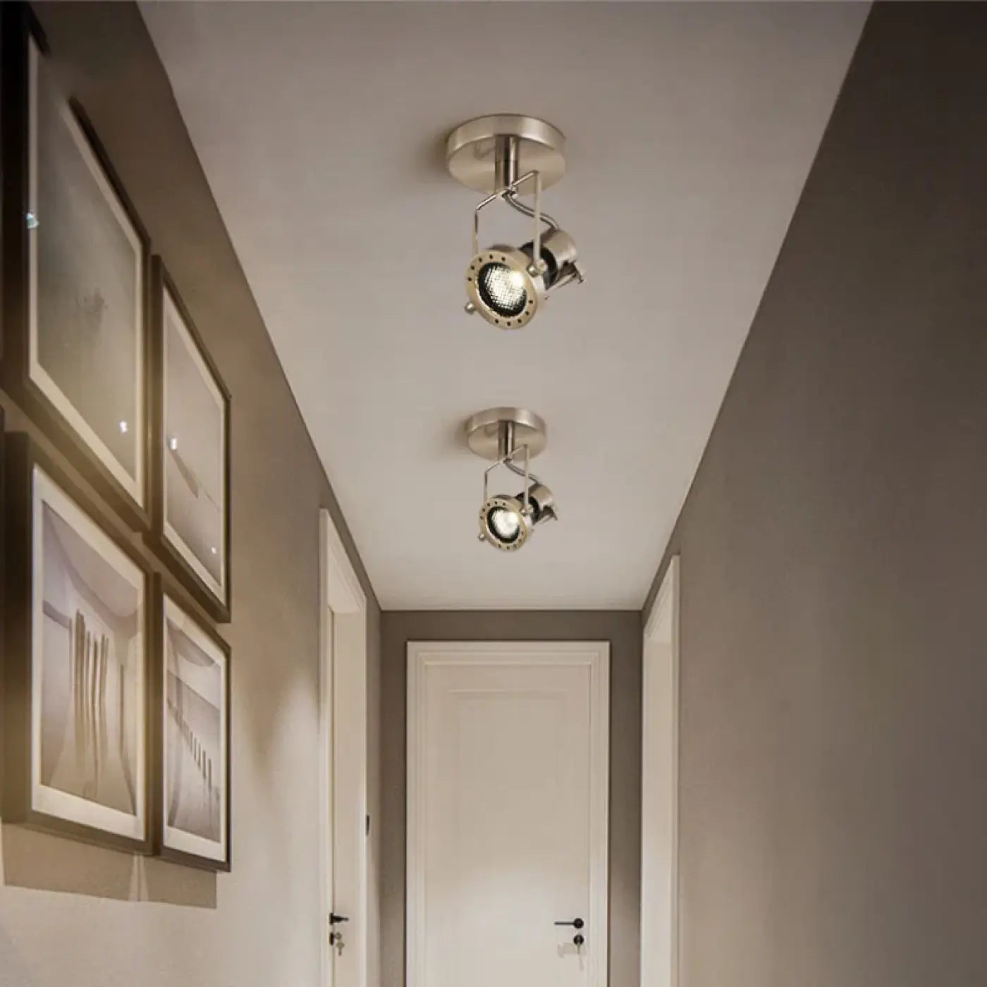 Plafonnier Spot Orientable Métal Brossé - Dalumea - vue 2