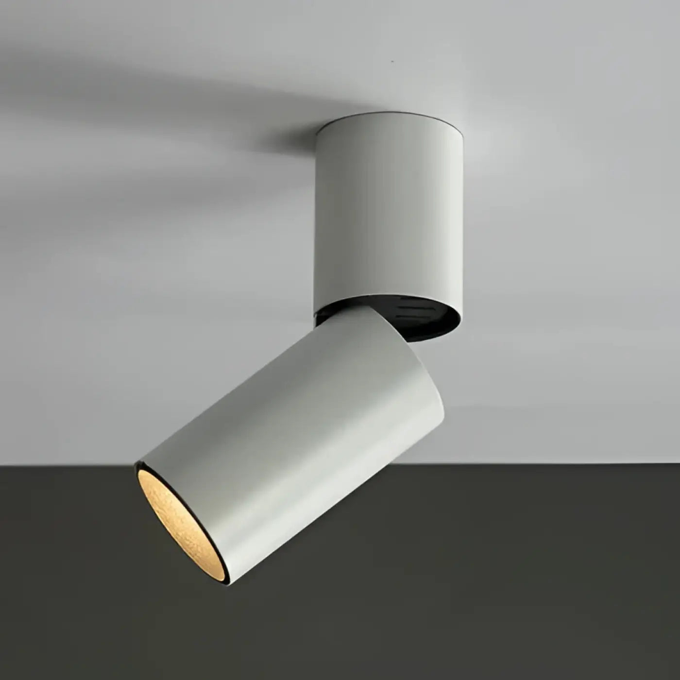 Plafonnier LED Minimaliste Métal - Dalumea - vue 10