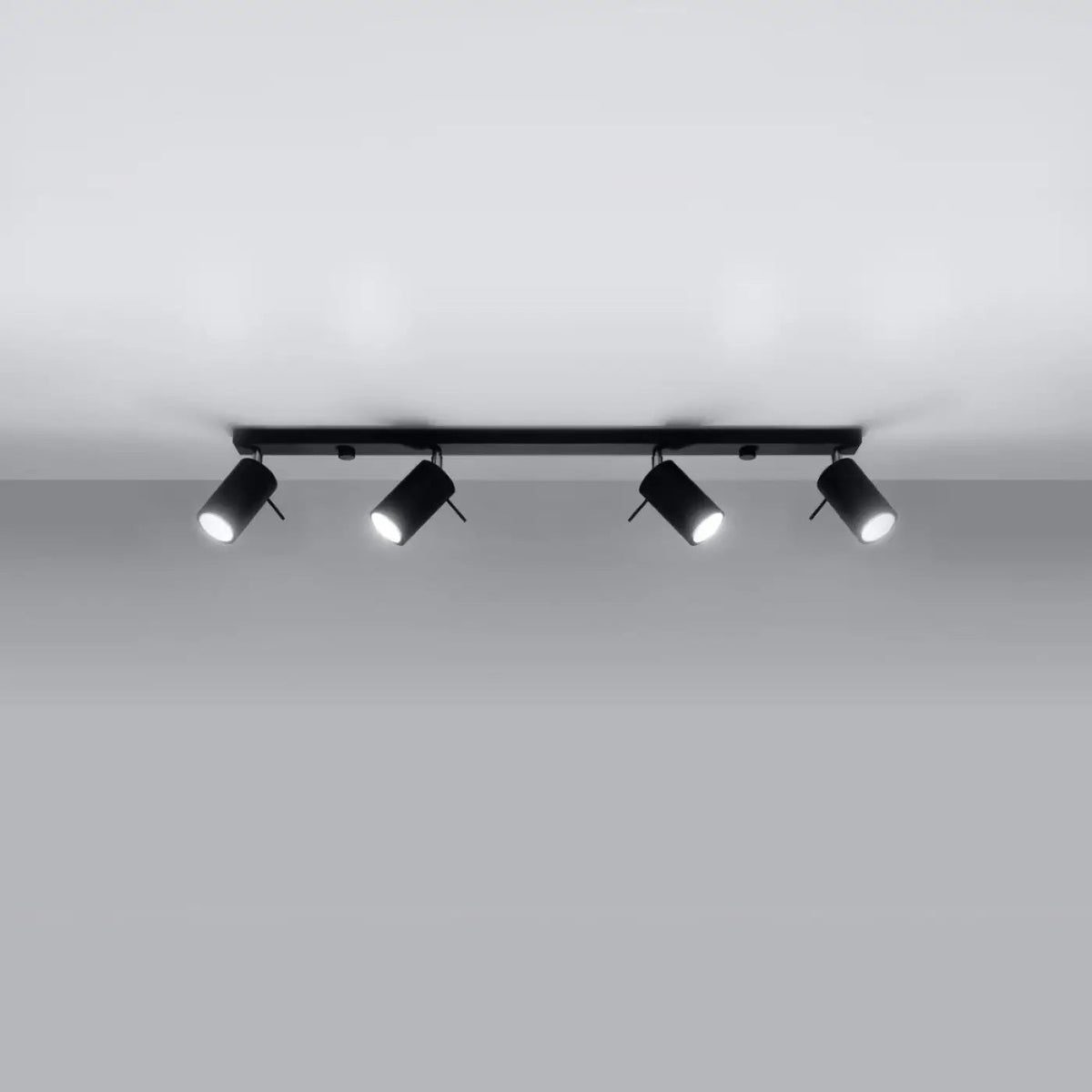 Plafonnier Rail 4 Spots Orientables Noir - Dalumea - vue 1