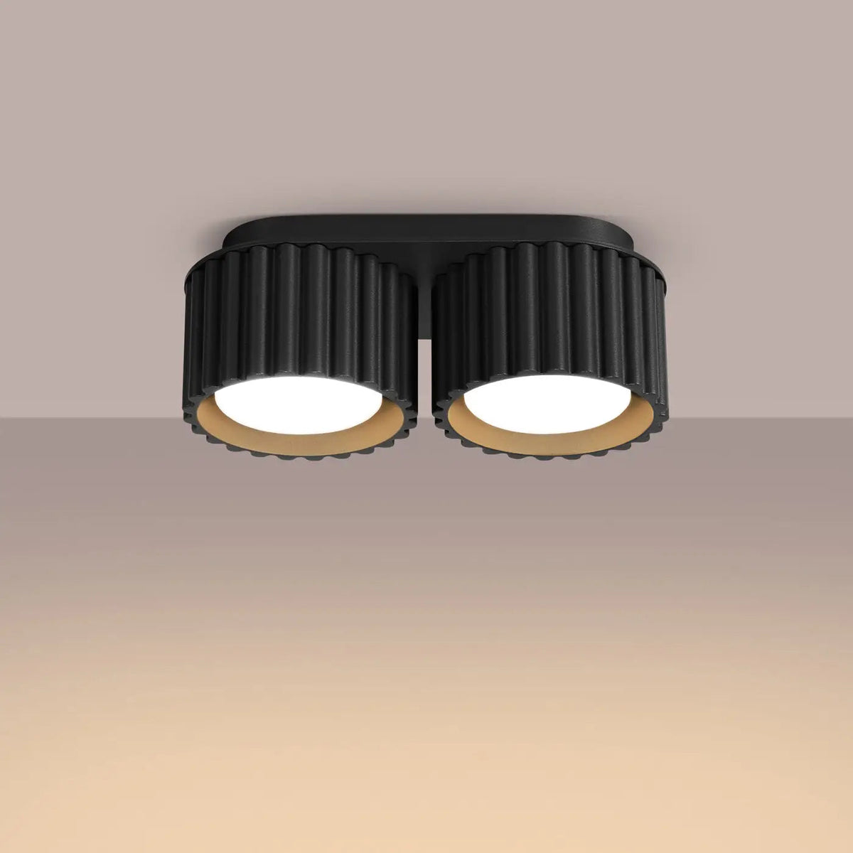 Plafonnier Double Spot Noir Rainuré - Dalumea - vue 1
