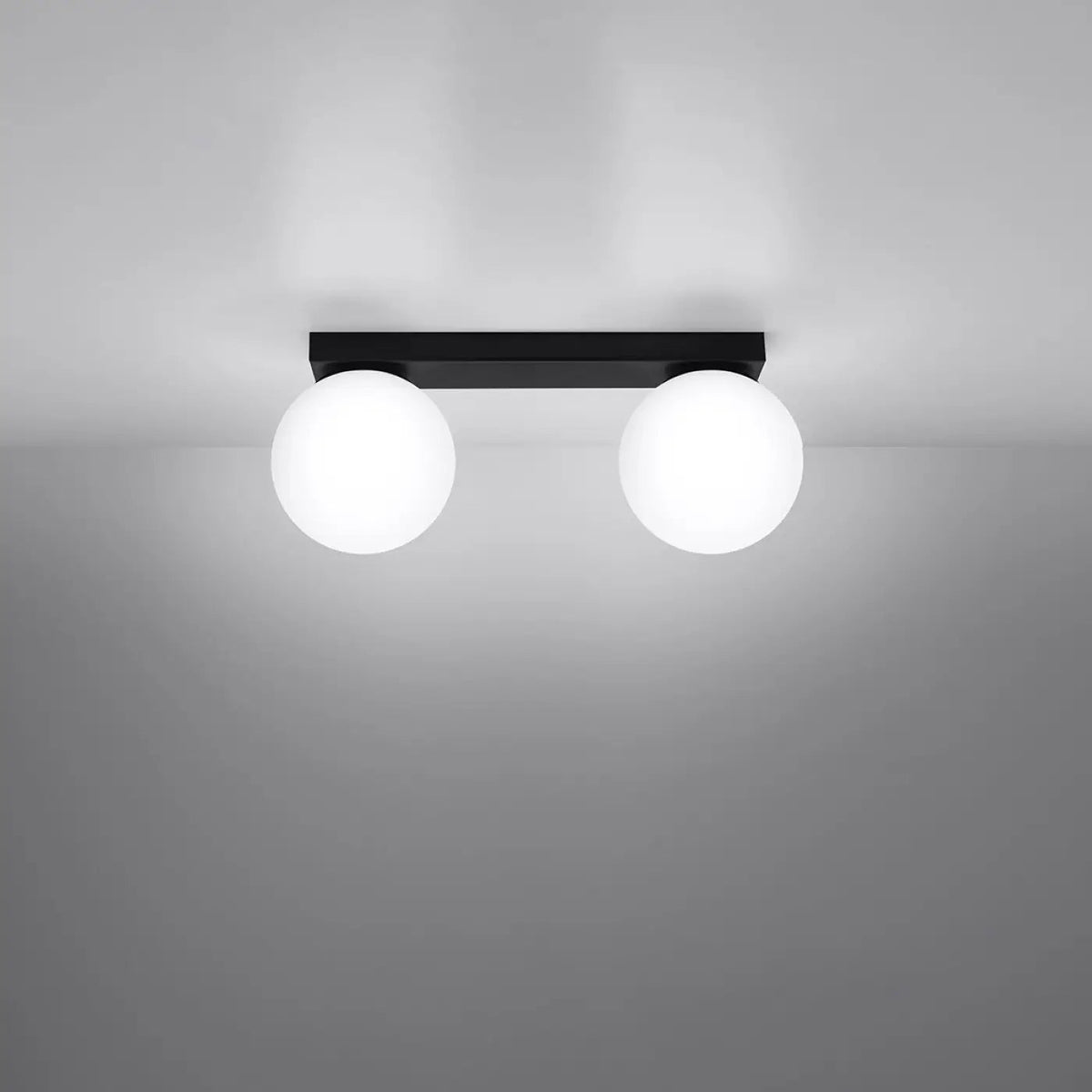 Plafonnier 2 Globes Noir LED - Dalumea - vue 1