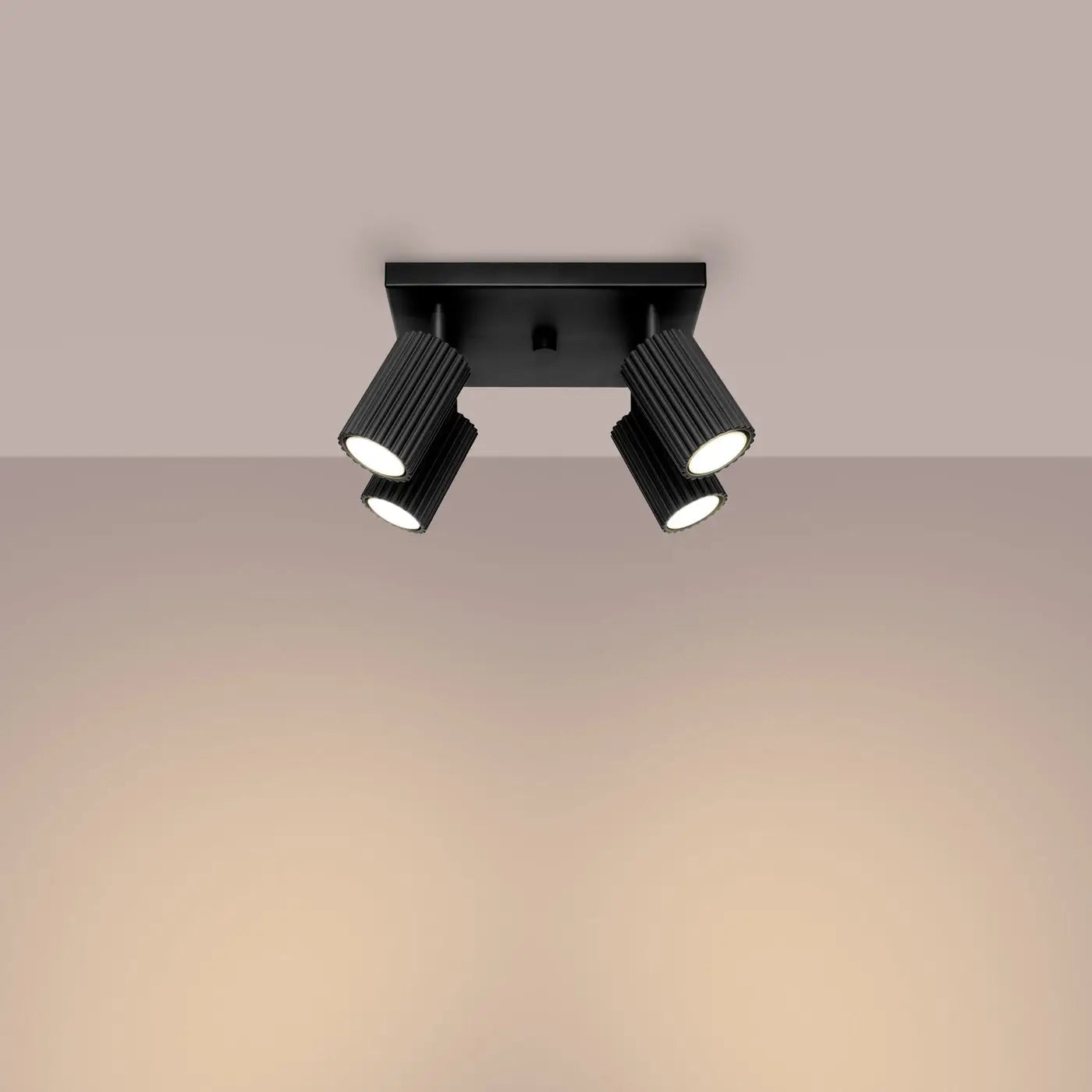 Plafonnier Noir 4 Spots Orientables - Dalumea - vue 1