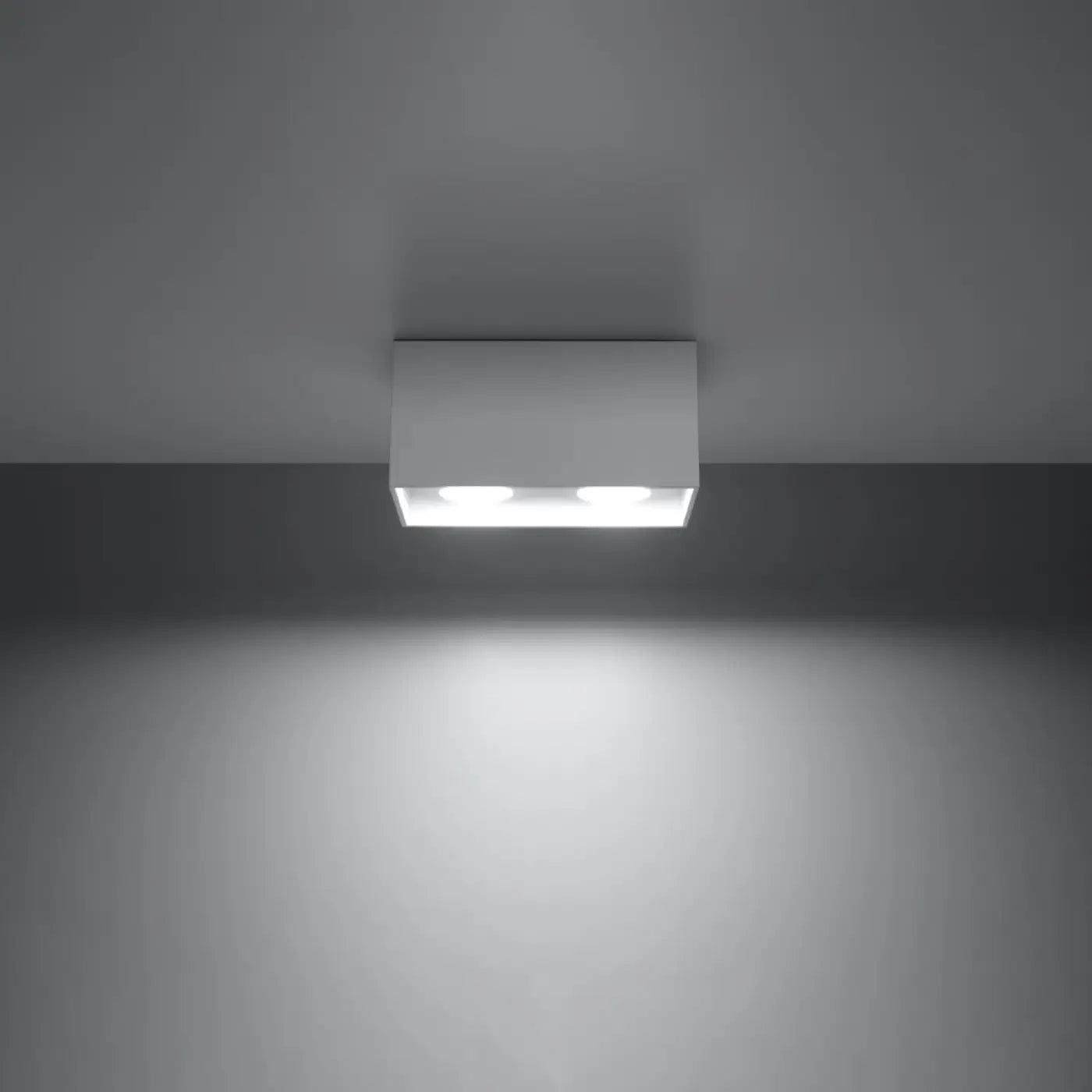 Plafonnier Double Spot Caisson Fixe Blanc - Dalumea - vue 1