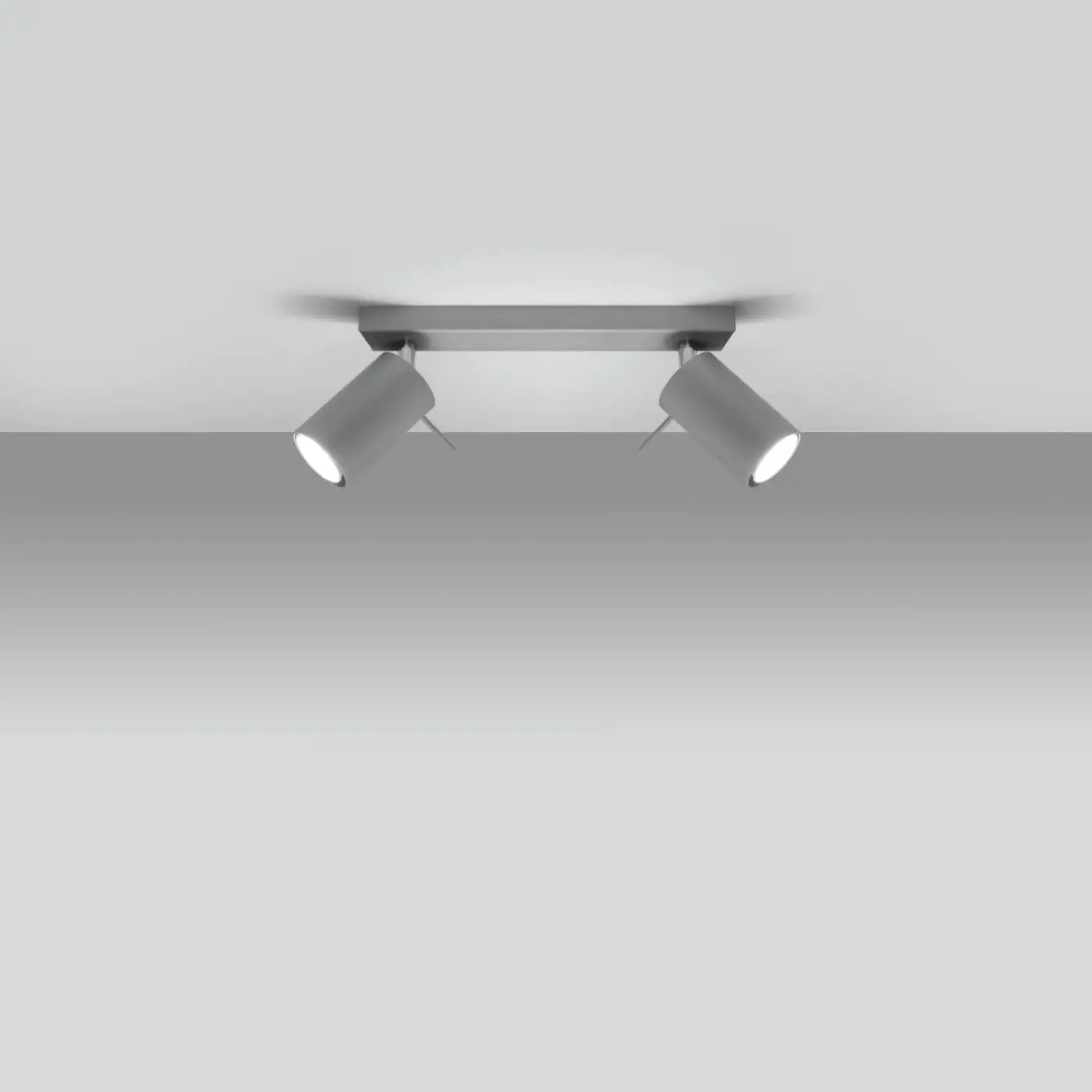 Plafonnier 2 Spots Orientables Gris - Dalumea - vue 1