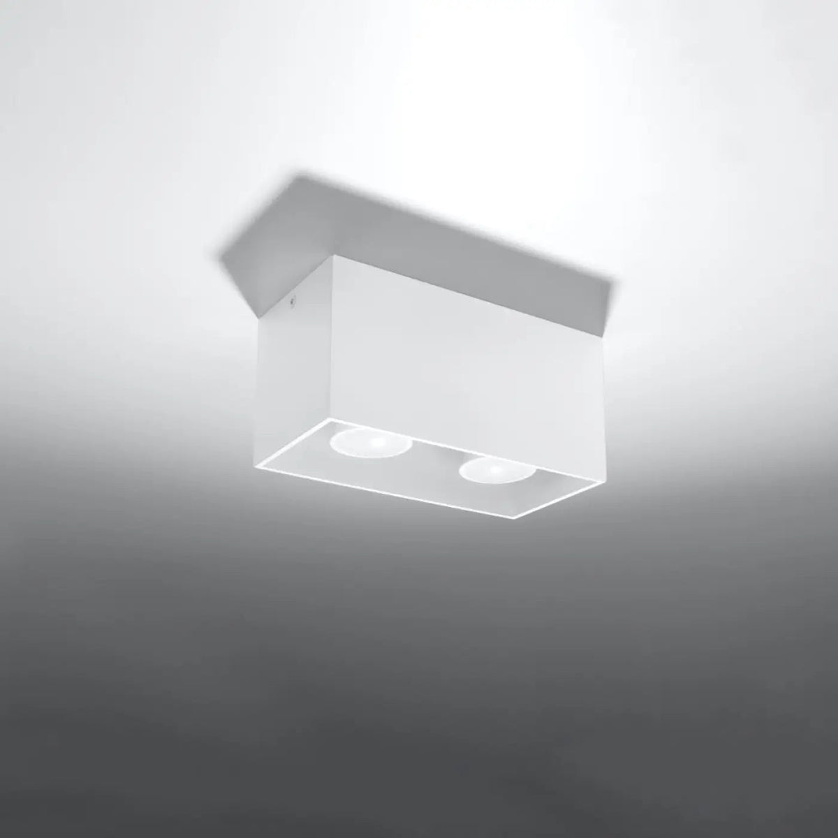 Plafonnier Double Spot Caisson Fixe Blanc