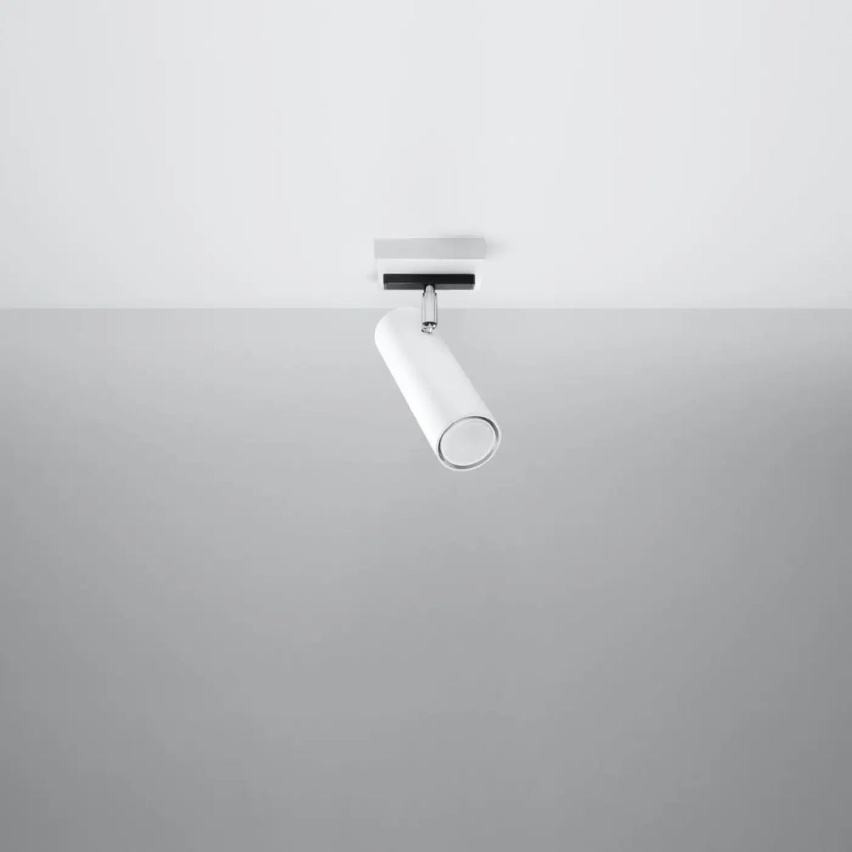 Spot Plafonnier Orientable Blanc - Dalumea - vue 2