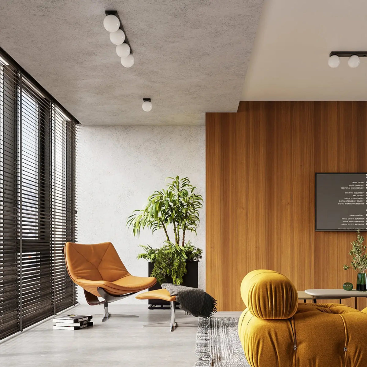Plafonnier 2 Globes Noir LED - Dalumea - vue 6