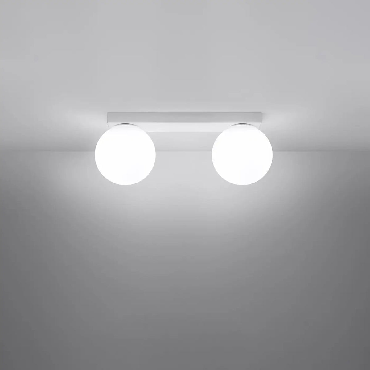 Plafonnier 2 Globes Blanc LED - Dalumea - vue 1