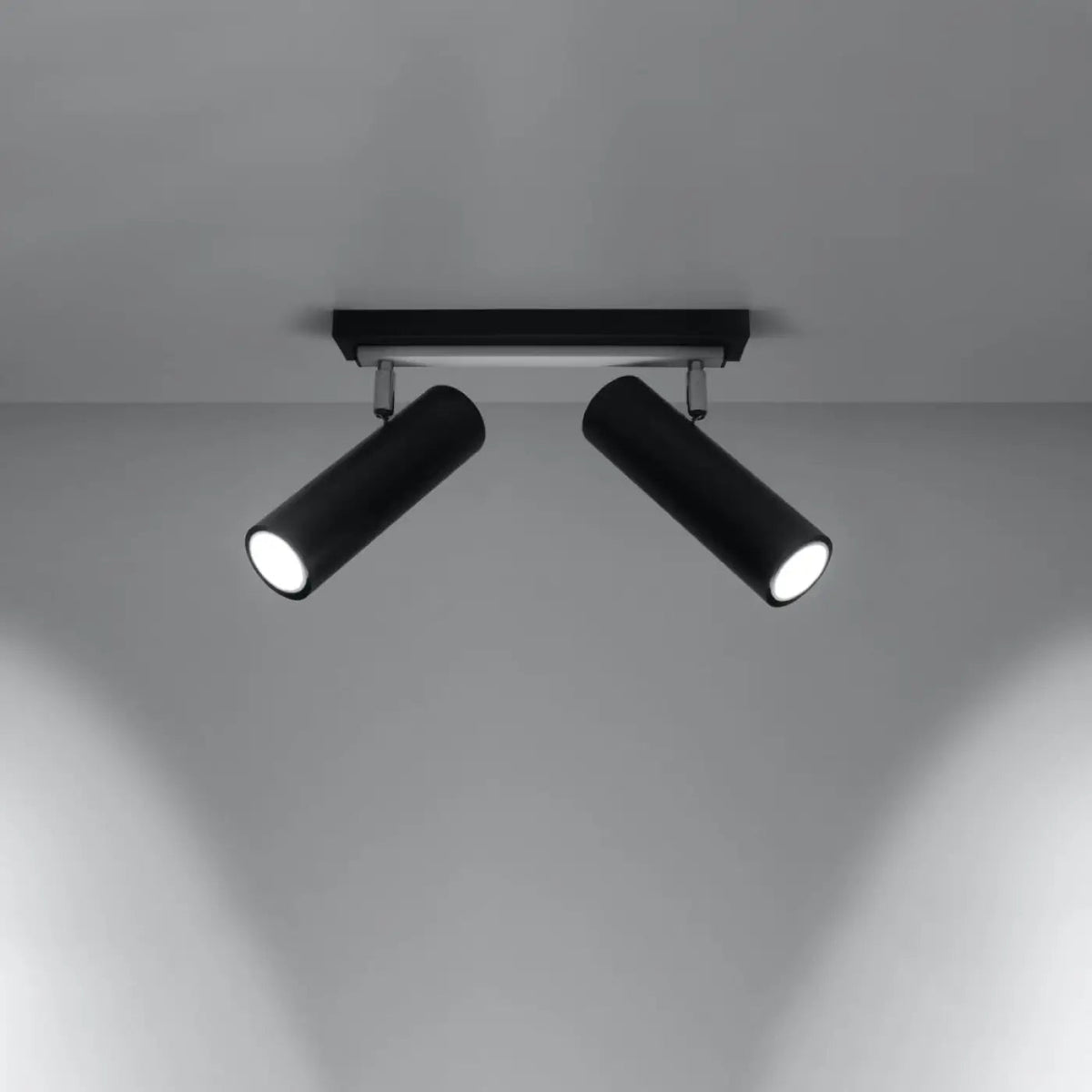 Plafonnier 2 Spots Orientables Noir - Dalumea - vue 1