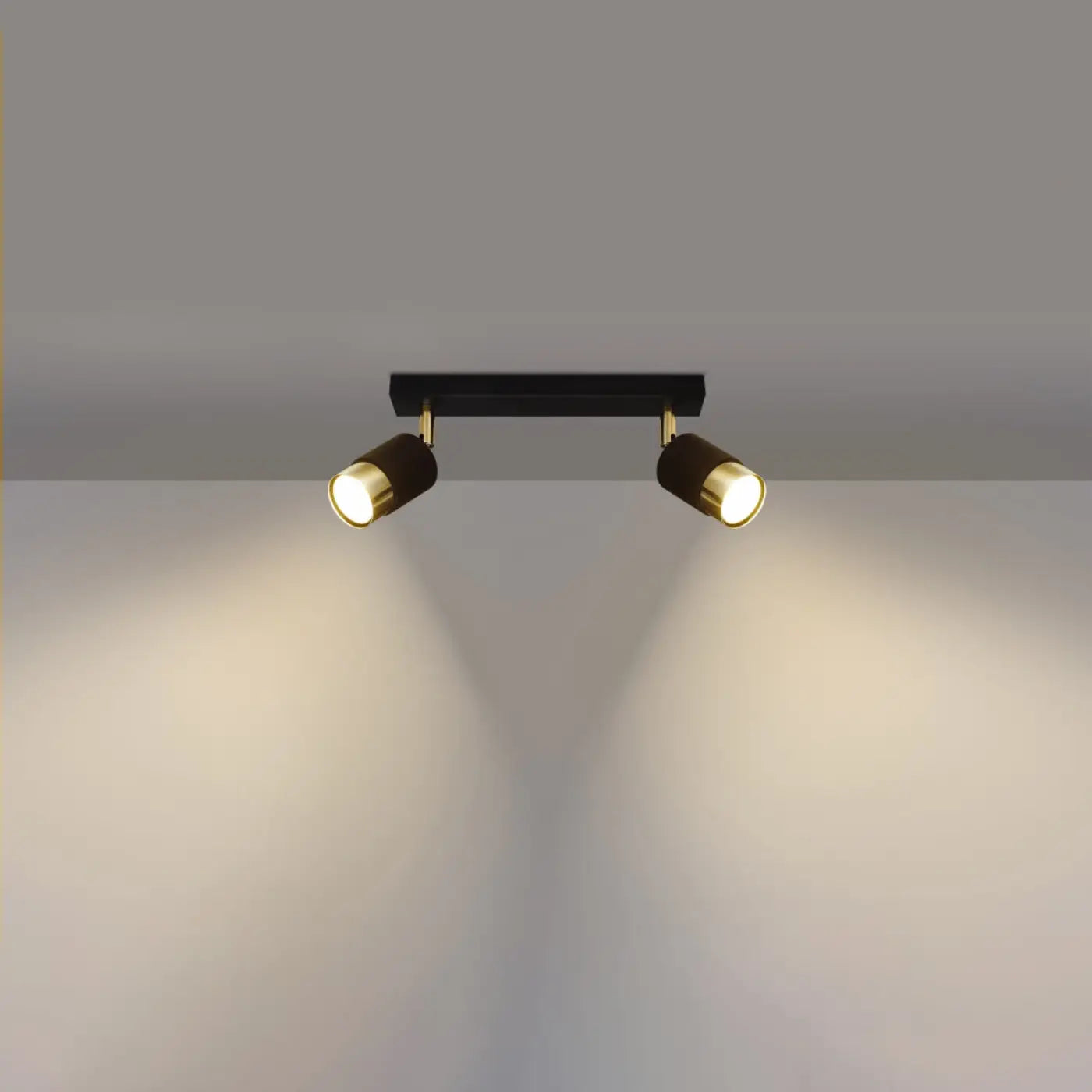 Plafonnier 2 Spots Orientables Noir Doré - Dalumea - vue 1