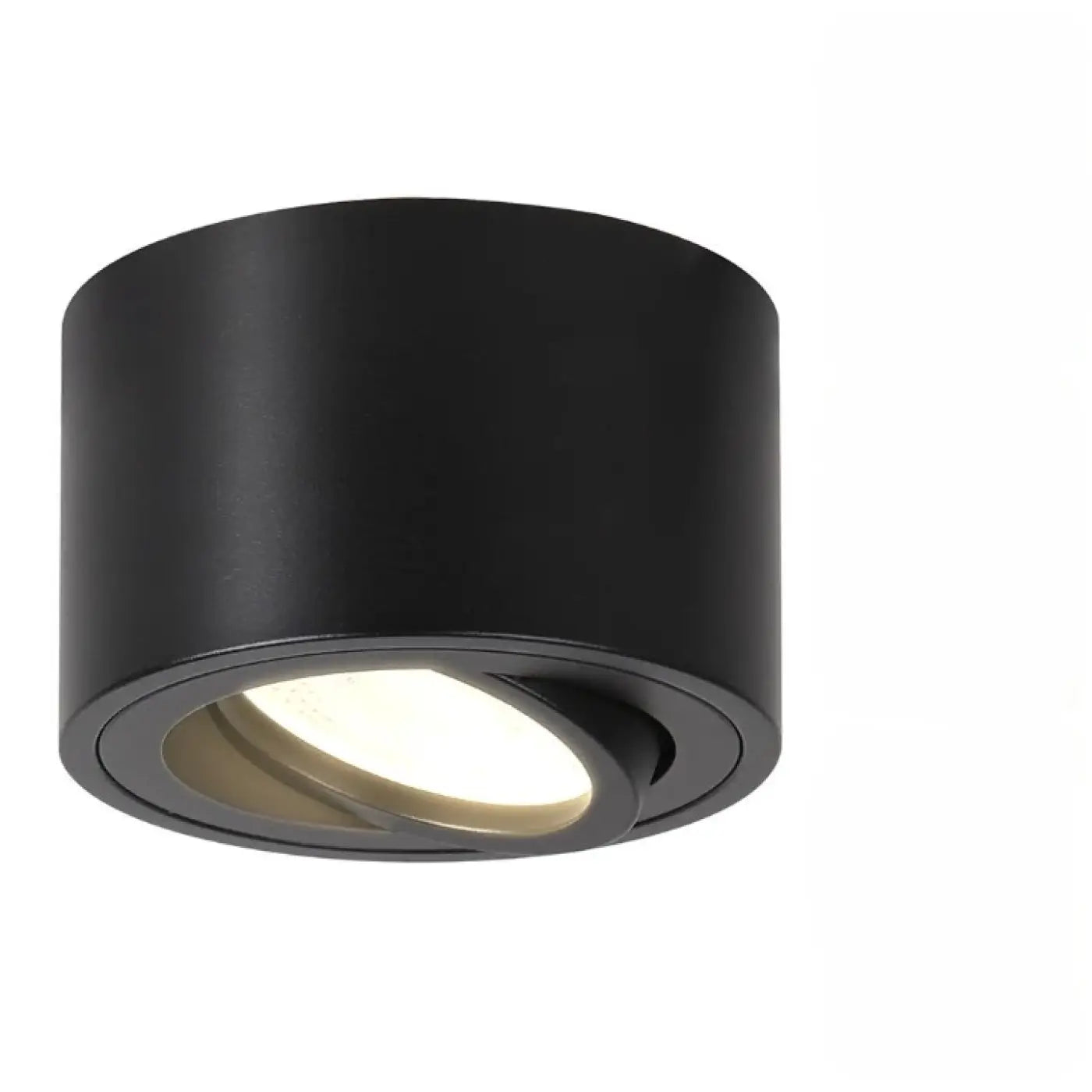 Plafonnier Saillie Orientable LED - Dalumea - vue 3
