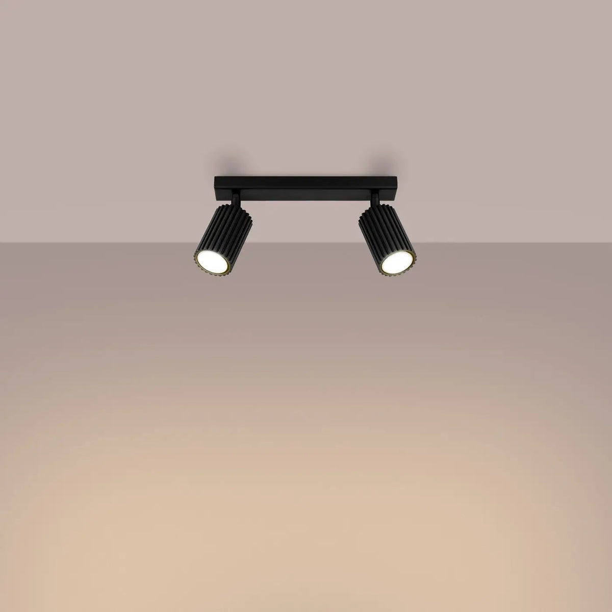 Plafonnier Double Spot Noir Orientable - Dalumea - vue 1