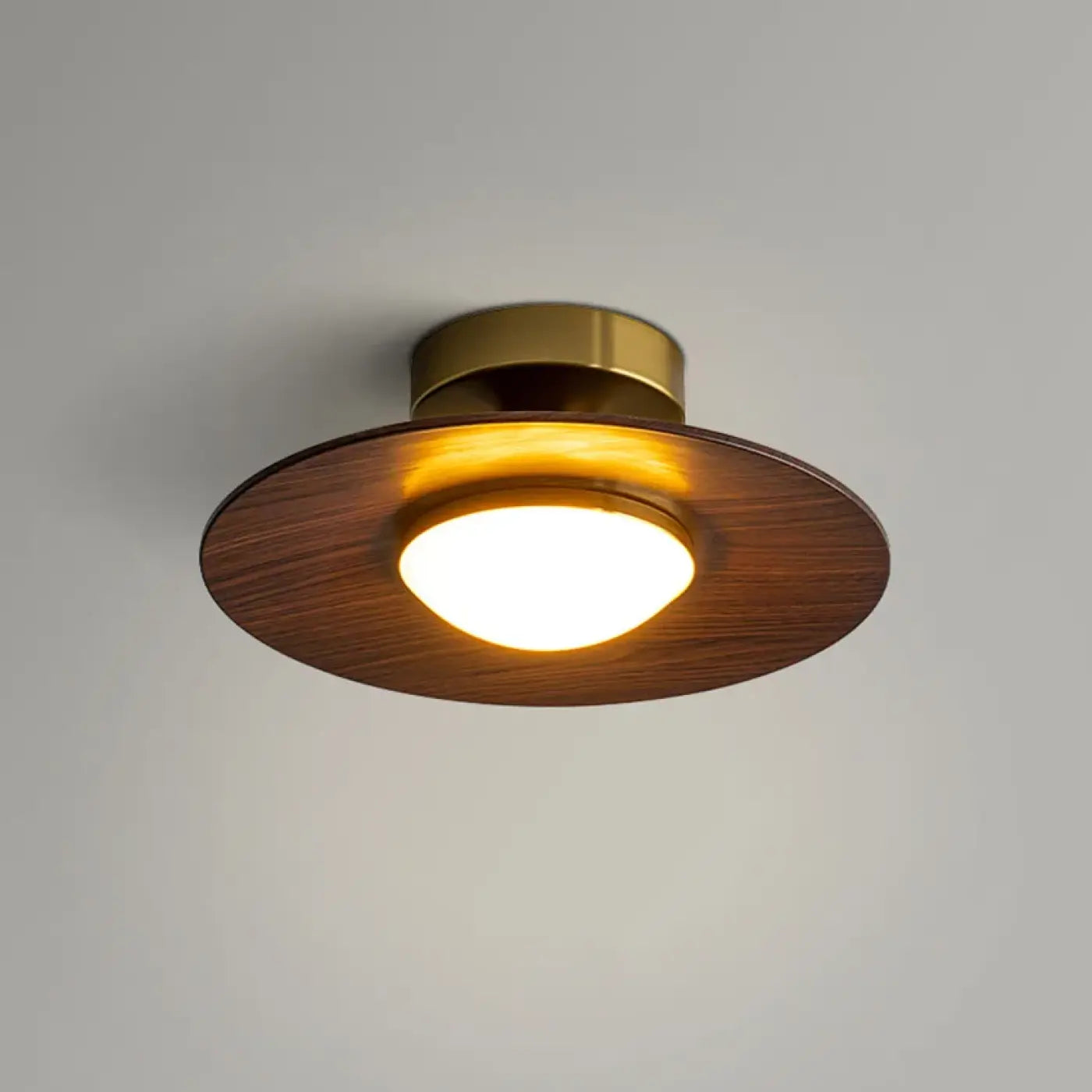 Plafonnier LED Design Moderne - Dalumea - vue 4