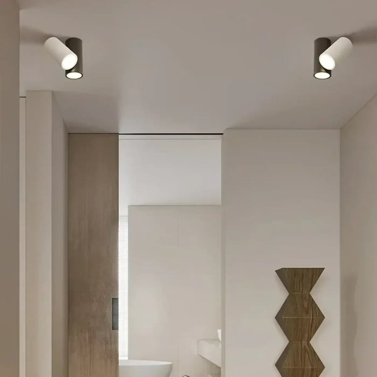Plafonnier Minimaliste Noir Blanc - Dalumea - vue 1