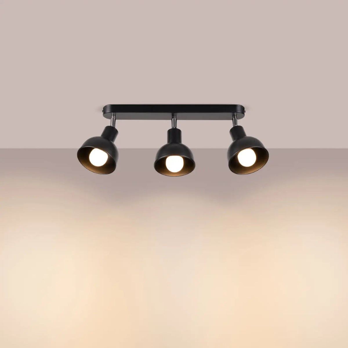 Plafonnier Noir 3 Spots Orientables - Dalumea - vue 1