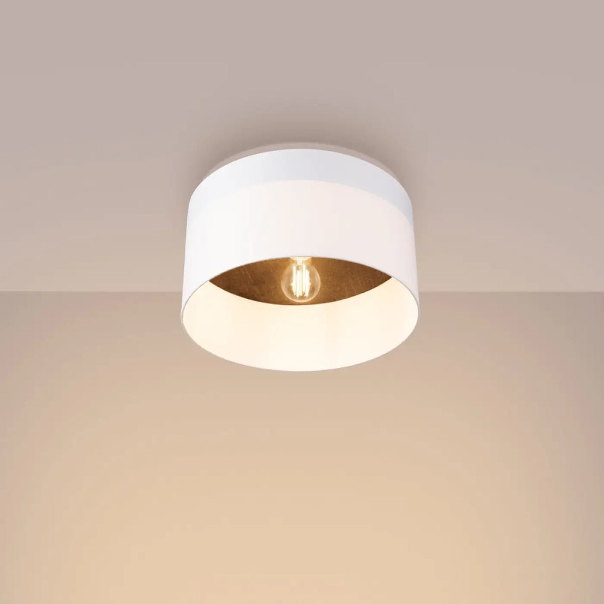 Plafonnier Scandinave Blanc Bois Foncé - Dalumea - vue 1