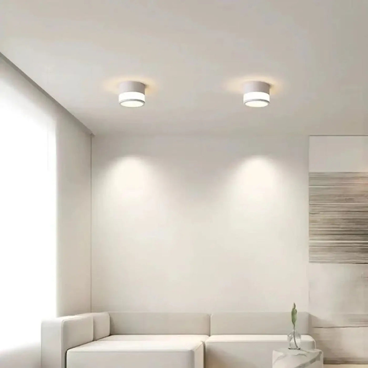 Plafonnier LED Cylindrique Noir Blanc - Dalumea - vue 2