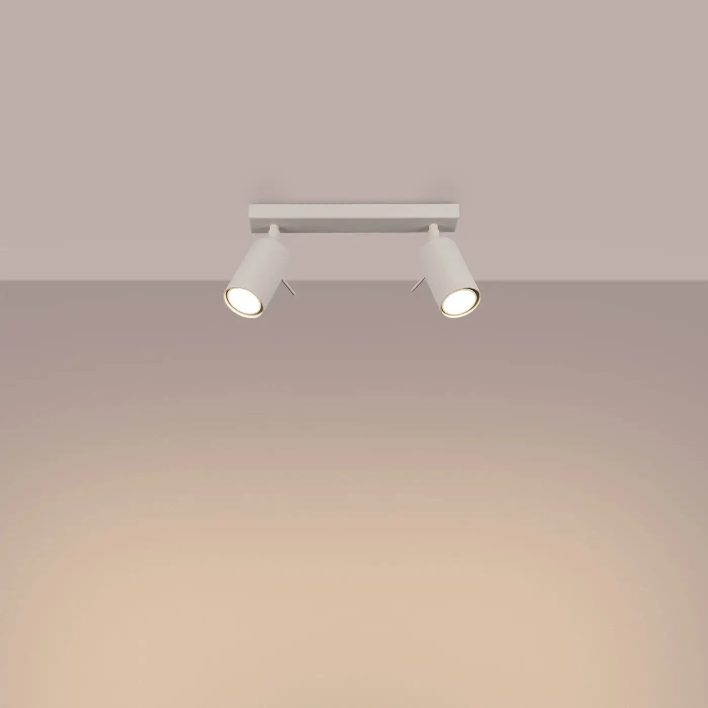 Plafonnier Rail 2 Spots Orientables Beige - Dalumea - vue 1
