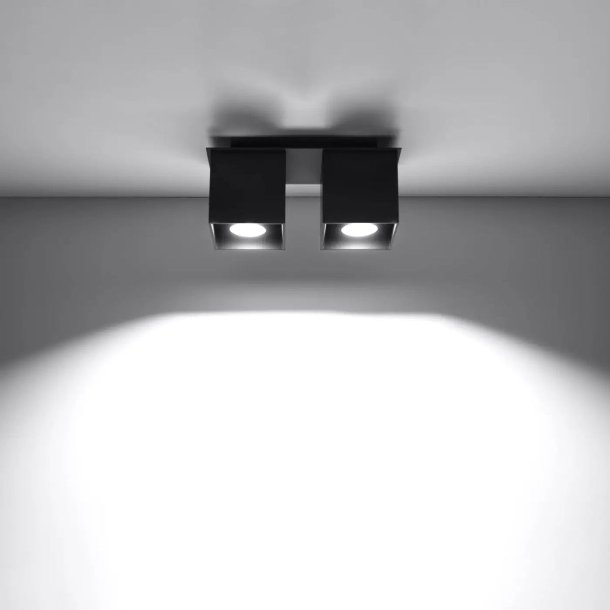 Plafonnier Double Spot Noir Minimaliste - Dalumea - vue 1