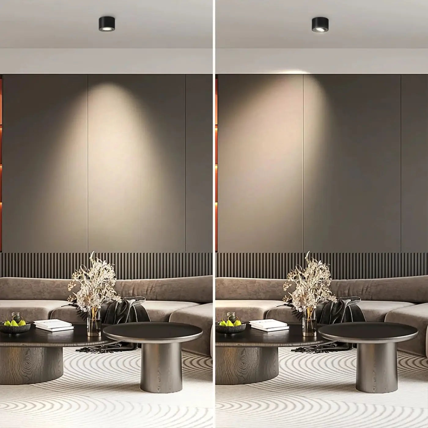 Plafonnier Saillie Orientable LED - Dalumea - vue 1