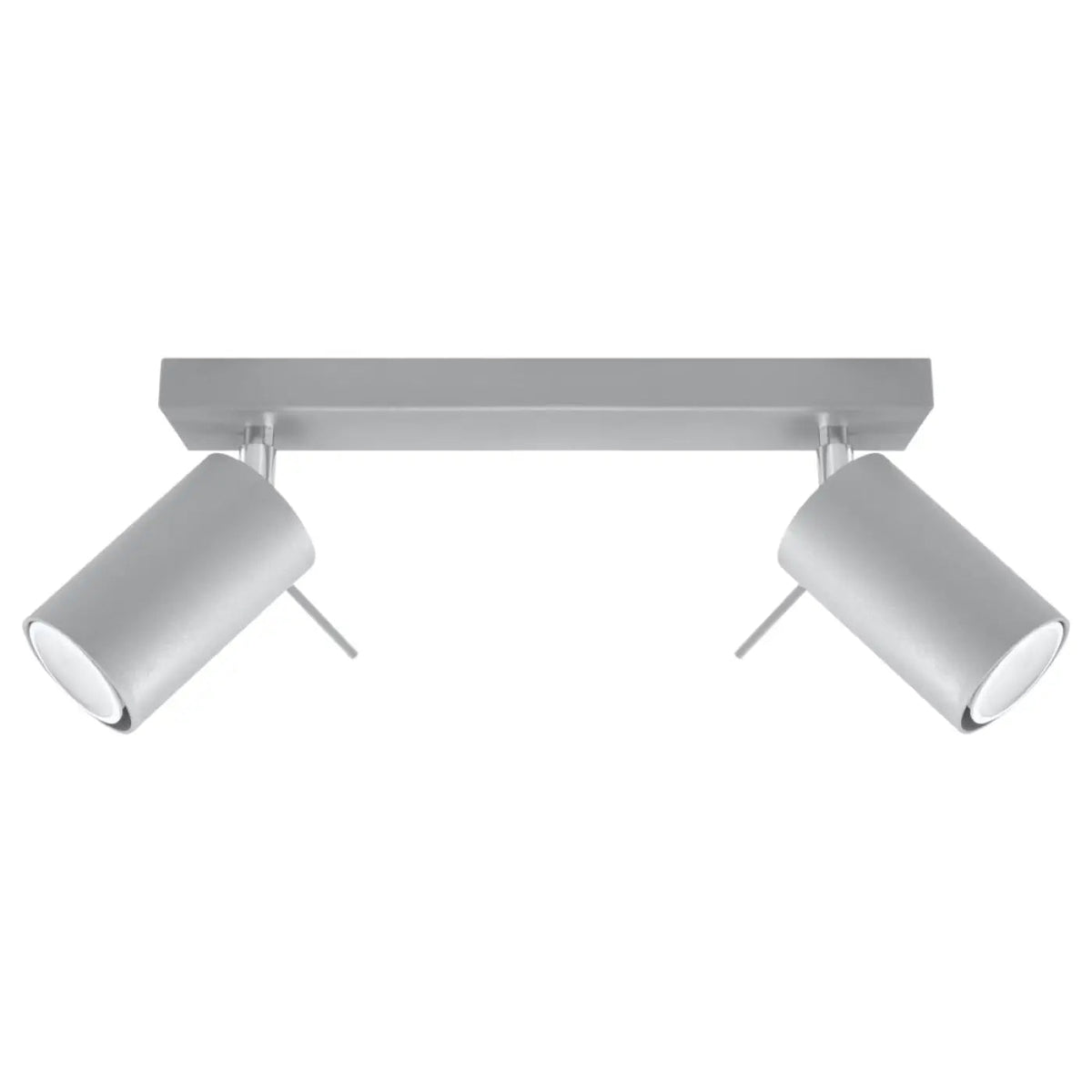 Plafonnier 2 Spots Orientables Gris
