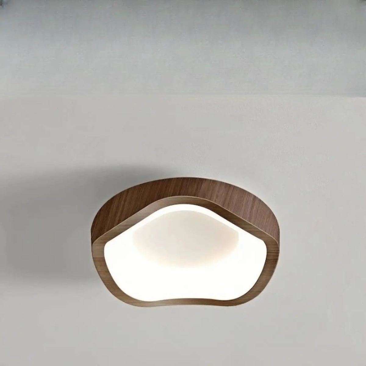 Plafonnier Bois Design Organique - Dalumea - vue 8