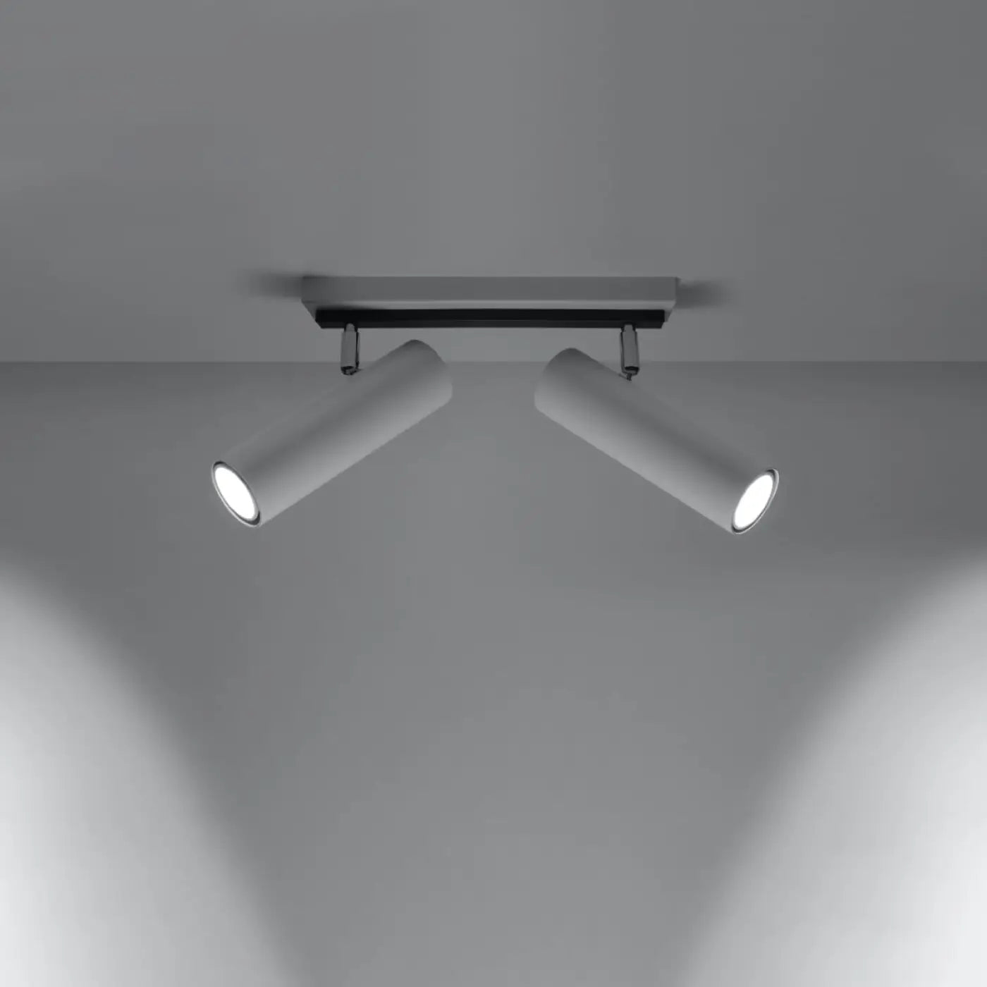 Plafonnier 2 Spots Orientables Blanc - Dalumea - vue 1