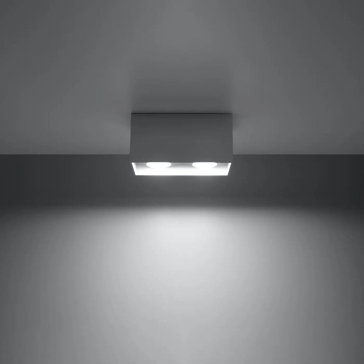 Plafonnier Double Spot Bloc Unique Gris - Dalumea - vue 1