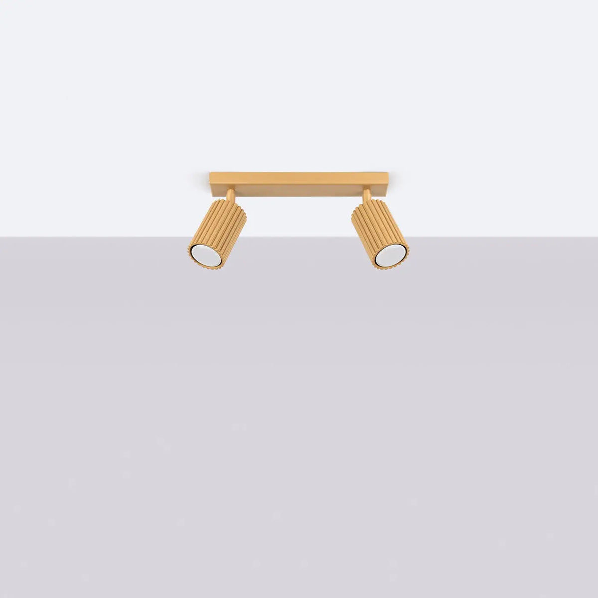 Plafonnier 2 Spots Orientables Doré