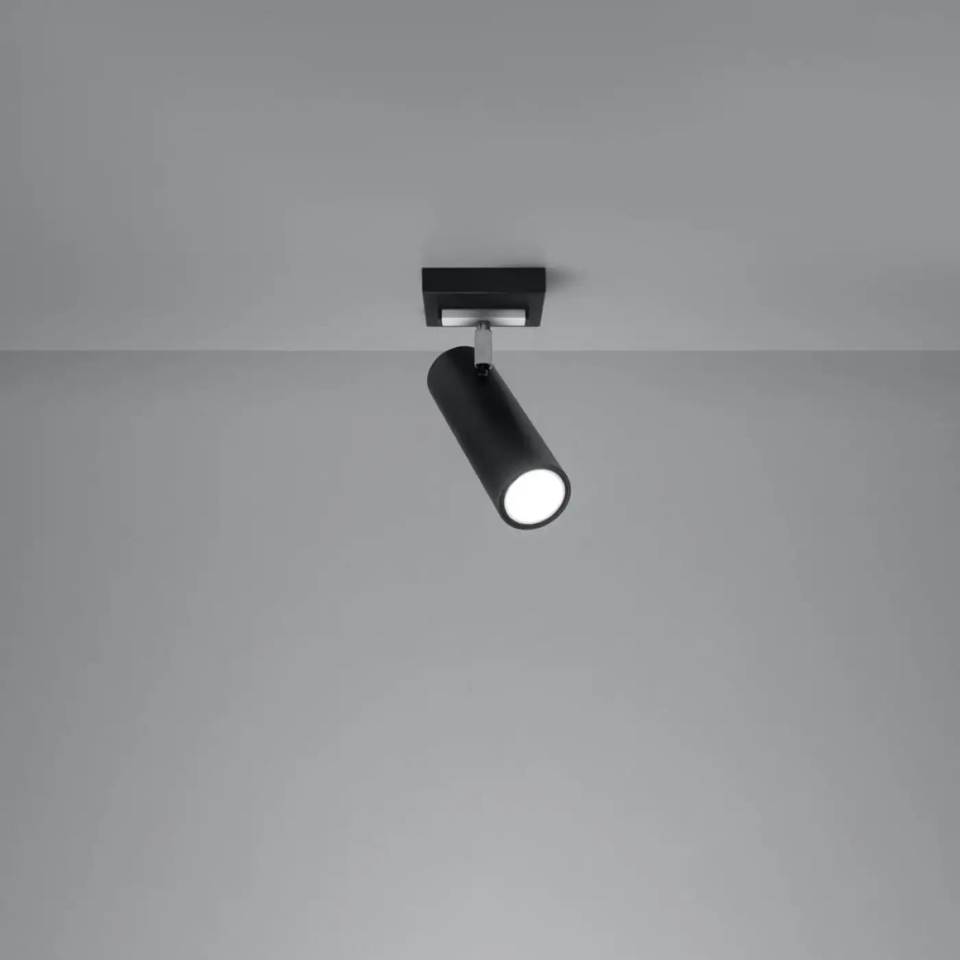 Spot Plafonnier Noir Orientable - Dalumea - vue 1