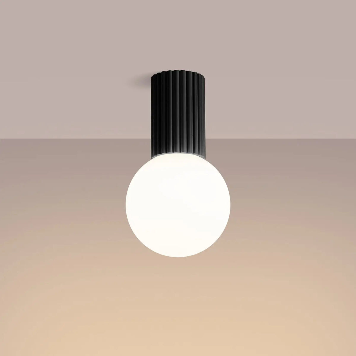 Plafonnier Noir Minimaliste Globe Opalin - Dalumea - vue 1