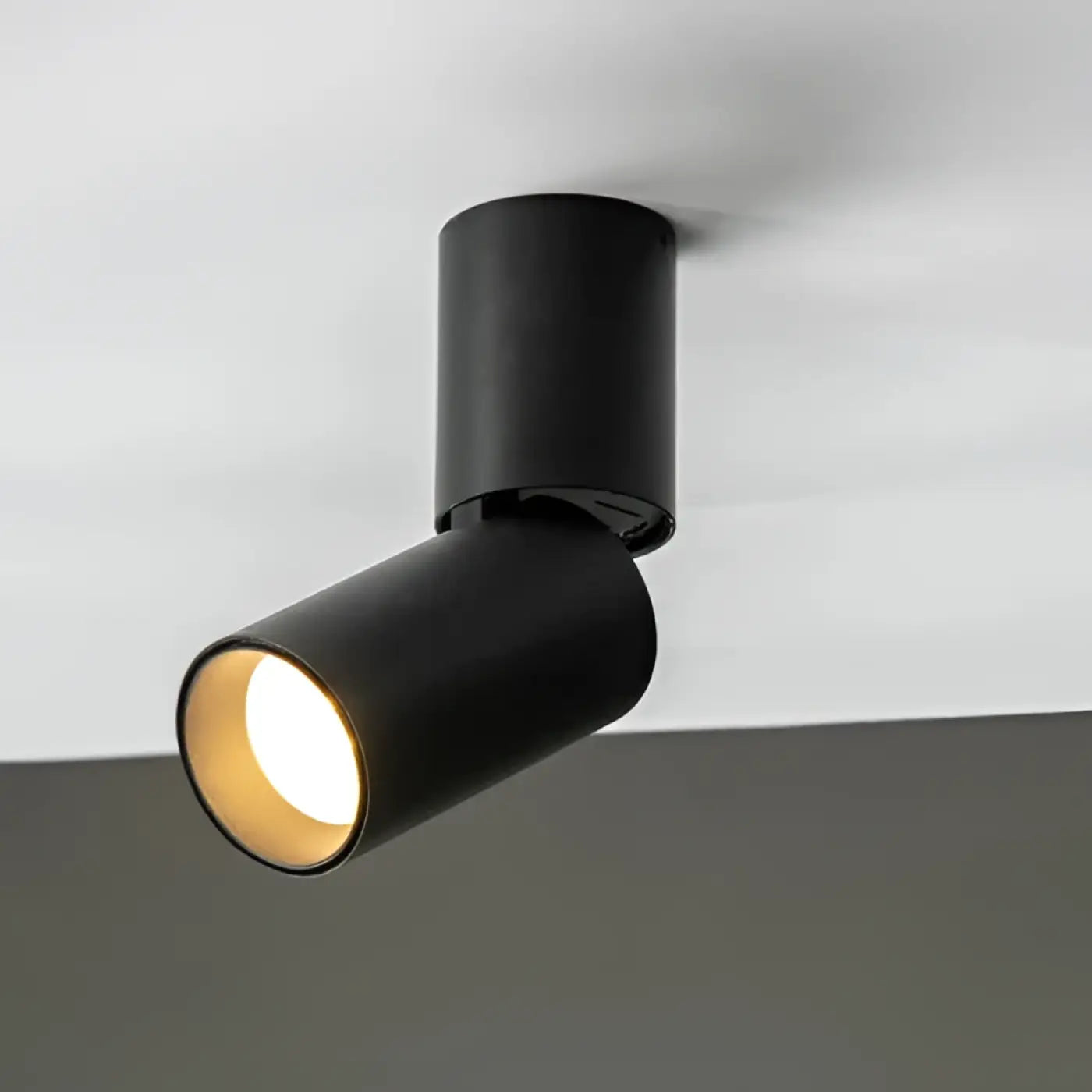 Plafonnier LED Minimaliste Métal - Dalumea - vue 9