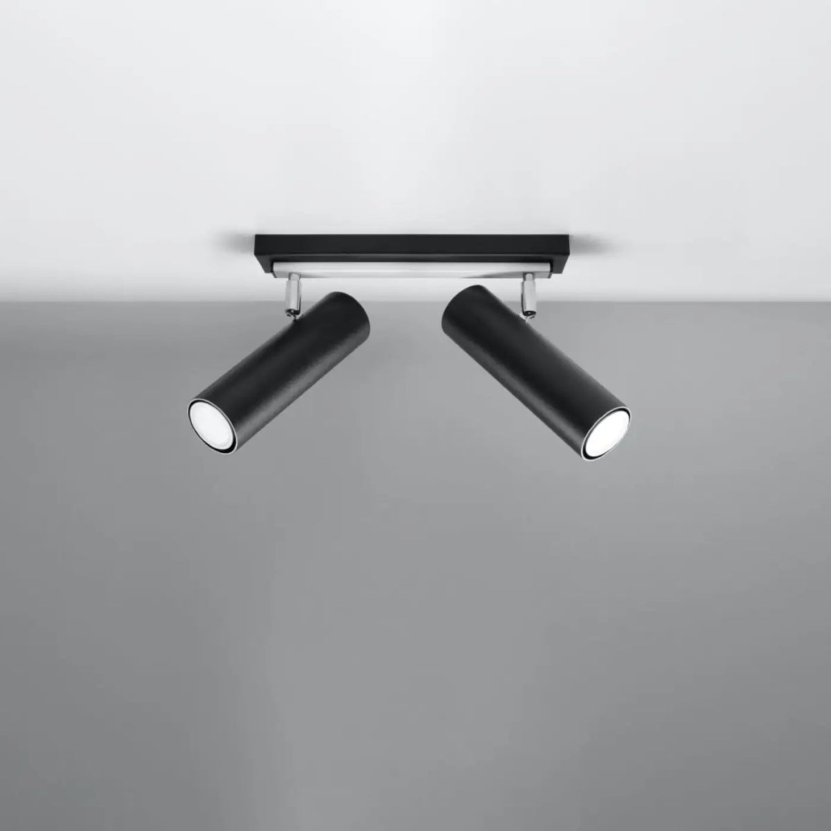Plafonnier 2 Spots Orientables Noir